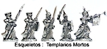 Esqueletos Templ�rios miniaturas rpg
